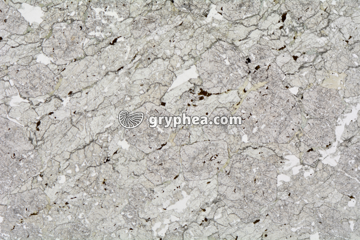 Eclogite LPNA x6,3 - gryphea.org